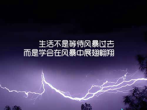 七朵莲花
