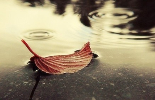 Only Dreamers