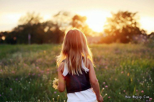 花儿与少年