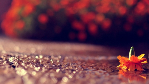 Dance Again