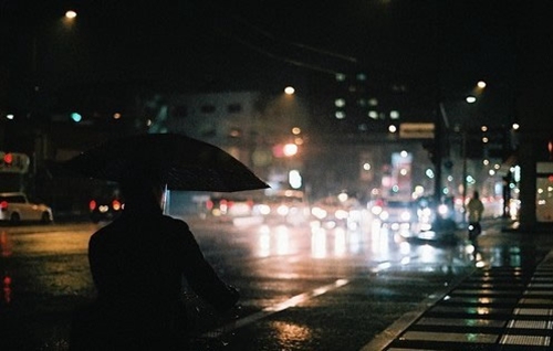 芙蓉雨