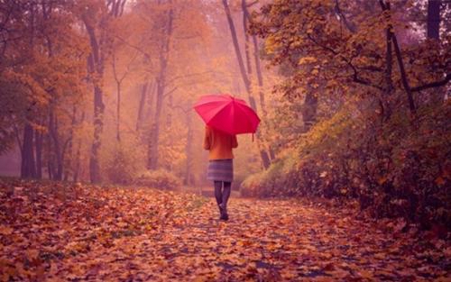 如梦春雨