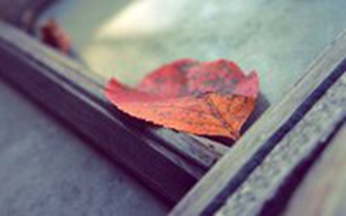 Lonely