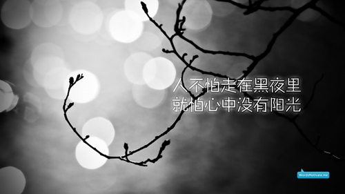 王琴
