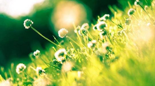 燕子南飞广场舞视频下载
