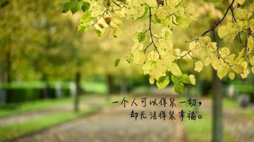 又一夜音乐dj版