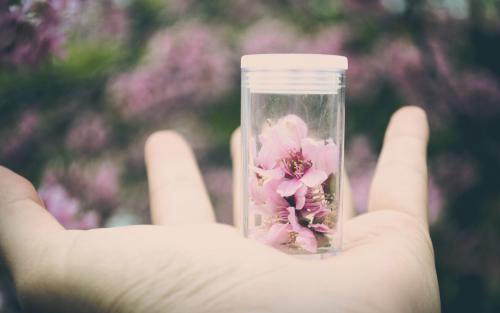 万安滨江广场舞桃花情十六步