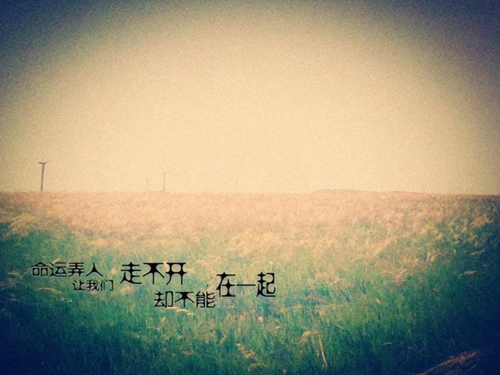 酒醉的蝴蝶舞蹈杨丽萍广场舞