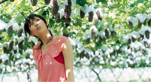 茉莉广场舞在那桃花盛开