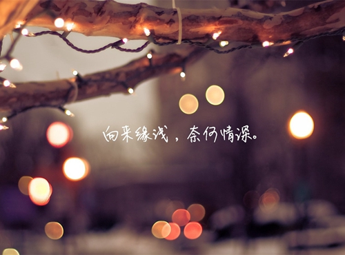 艺子龙饶子龙