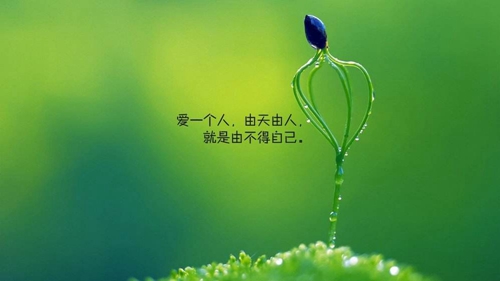 子龙广场舞新年吉祥