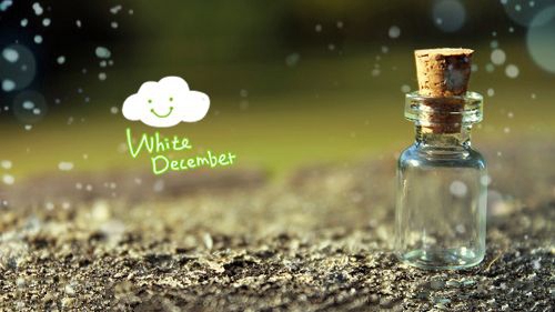 燕子广场舞减肥舞爱情的力量