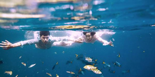 燕子最新广场舞踏浪