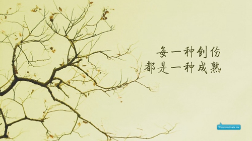 广场舞队形天降吉祥