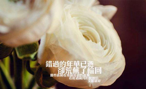 广场舞暖暖的幸福王梅歌曲