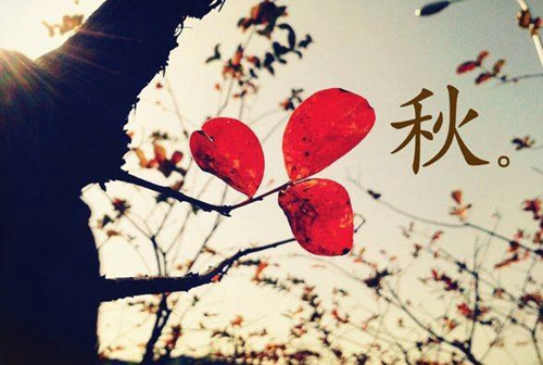 杭州千岛湖心语