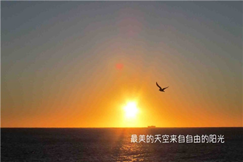 广场舞早晨健身操背面演示