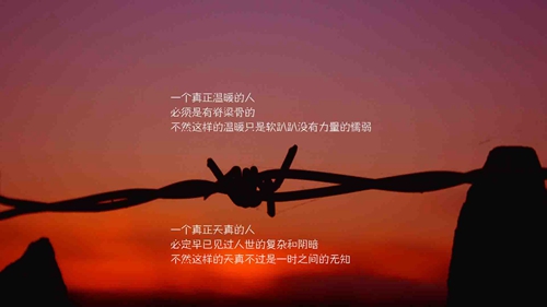 燕子广场舞全集真的好想你