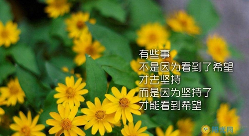 山东冠县赵辛庄