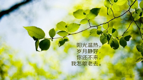 清清