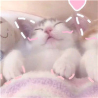 qq头像背景欧美风5