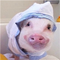 qq头像杨过6