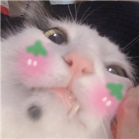 看你头像很有气质,想和你交个朋友3