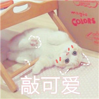 手机黑色挡脸女生头像2