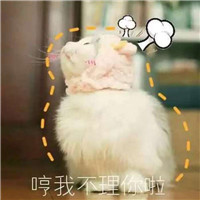qq头像带文字图片5