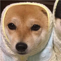 刘亦菲头像女搞怪1