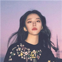 Q版抖音简笔画女孩头像11