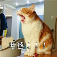 姐妹头像一对两张卡通2