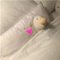 女生频繁换微信头像8