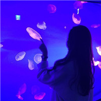 塞班系统头像女可爱搞怪10