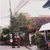 悟吉塔兄弟头像8