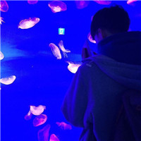 微信女生背影头像大全1
