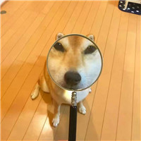 单身使用的头像6