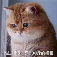 男生大情种头像14