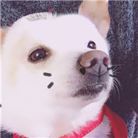 坚强的头像女生3