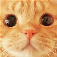 红眼兄弟头像男3
