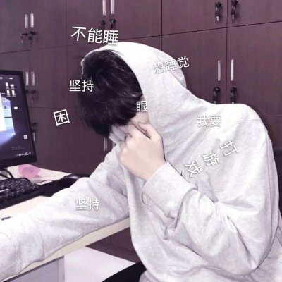 抖音头像趴个熊猫6