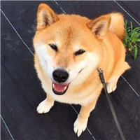 性感帅哥照片头像同一个人10