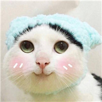 QQ艺术头像图片大全4