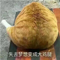 兔子最好看头像图片大全4