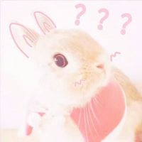 动漫搞笑头像4