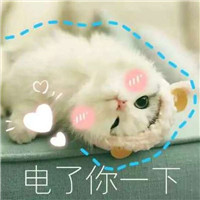 头像单身情头6