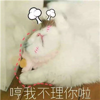 动漫搞笑头像6