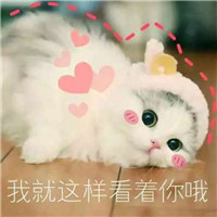 女生有个性头像二次元12