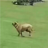 炫酷黑暗的男生头像3
