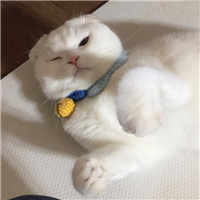 漫画黑白女生头像11